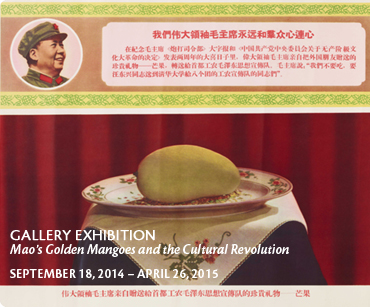 China InstituteNYMao's Golden Mangoes & Cultural Revolution