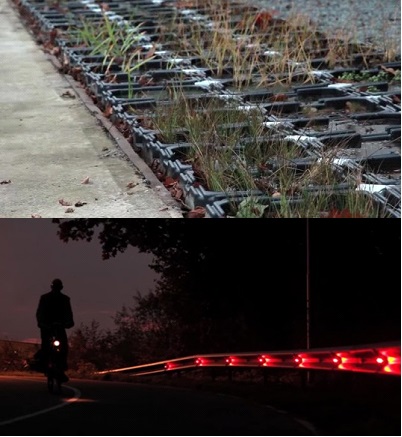 荷兰瓦赫宁根大学科学家发明新技术：靠植物生长发电点亮城市