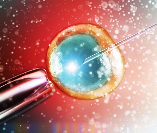 新奇助孕技术：线粒体注入助卵细胞恢复活力