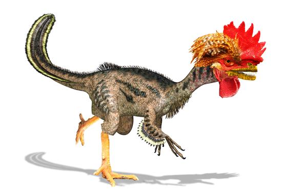 蒙大拿州立大学古生物学家把鸡变回恐龙：胚胎改造遗传密码开启50%