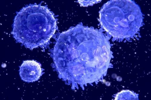 治癌新方法：训练免疫系统杀死癌细胞 & 用病毒消灭癌细胞