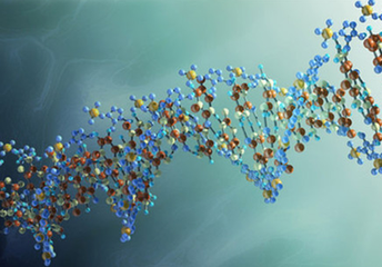 科学家发起人类基因组编写计划  科学界争论:“生命天书”？