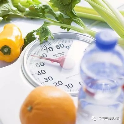 耶鲁大学：每日500卡路里的极低热量饮食能够快速逆转2型糖尿病