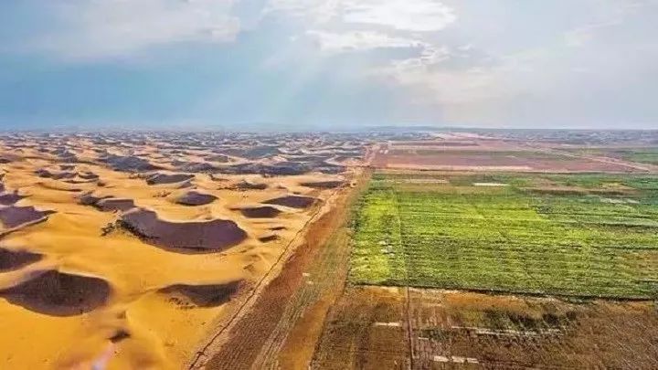 点沙成土 中国科学家成功实现了低成本、快速将沙漠变绿洲的奇迹