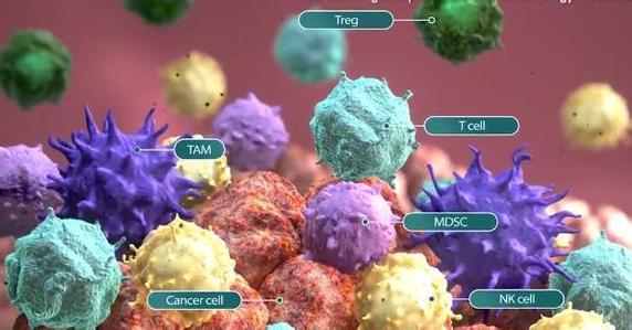 牛津大学的科学家研发出可以杀死癌细胞的转基因病毒