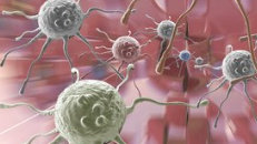 美国索尔克生物研究所等发现：激活生物钟 饿死癌细胞