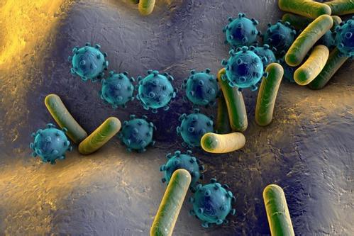 德国马克斯・普朗克胶体与界面研究所揭示超级细菌逃逸机制