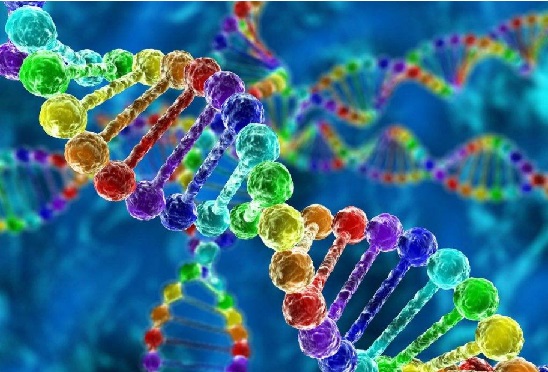 安大略省癌症研究所研究发现：局部环境比遗传背景对基因表达影响更大