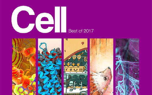 《Cell》：2017年度十大最佳论文！