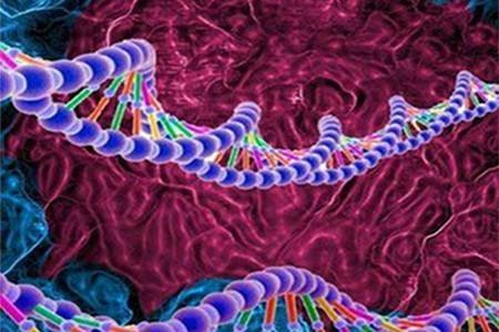剑桥大学研究团队成功绘制出人类血浆蛋白质组遗传图谱