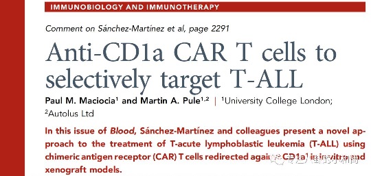 相煎何太急！CAR-CD1a T细胞特异性治疗T-ALL