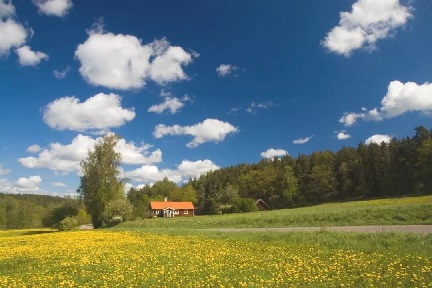 瑞典的魅力自然：安静、温柔、简约、舒适的“小木屋”